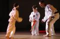 5e Nuit des Sports 5e nuit des sports Taekwondo 101